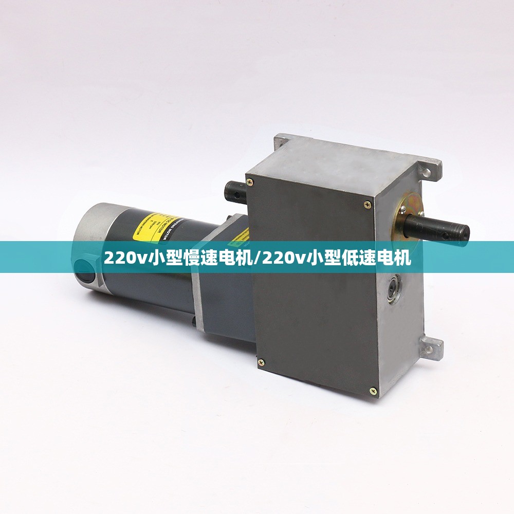 220v小型慢速电机/220v小型低速电机