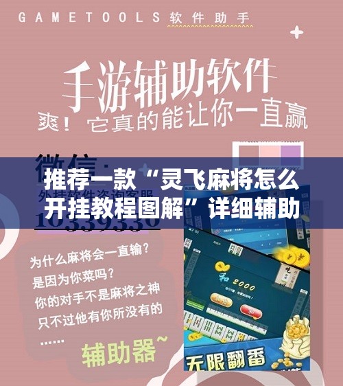 推荐一款“灵飞麻将怎么开挂教程图解”详细辅助教程分享