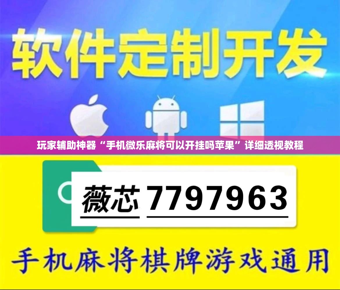 玩家辅助神器“手机微乐麻将可以开挂吗苹果	”详细透视教程