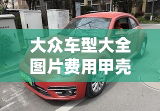 大众车型大全图片费用甲壳虫/大众甲壳虫车型都有哪些