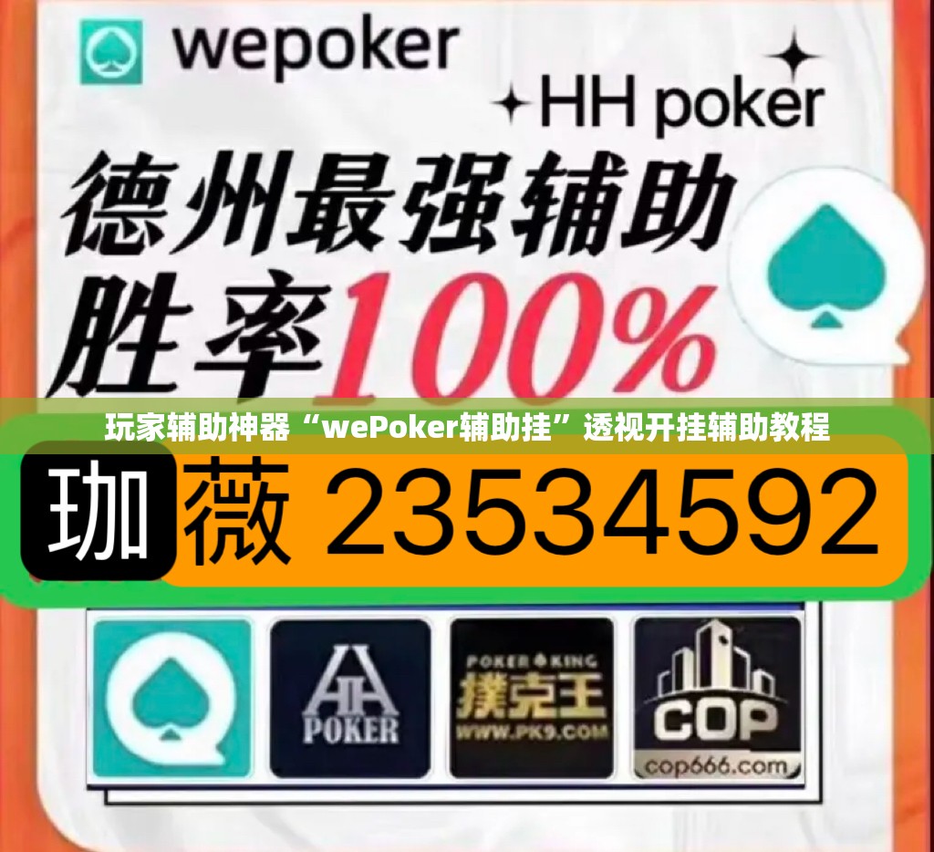 玩家辅助神器“wePoker辅助挂”透视开挂辅助教程