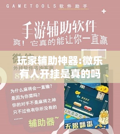 玩家辅助神器:微乐有人开挂是真的吗(必备神器)”其实真的确实有挂