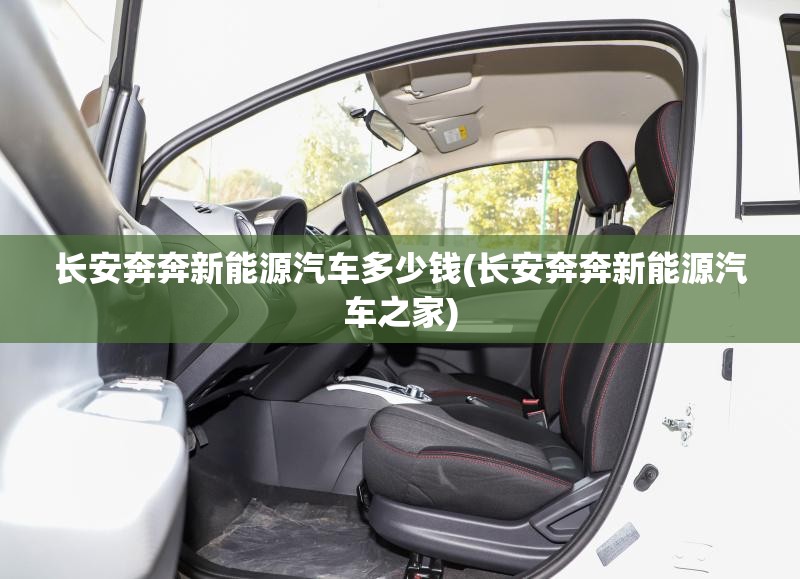 长安奔奔新能源汽车多少钱(长安奔奔新能源汽车之家)