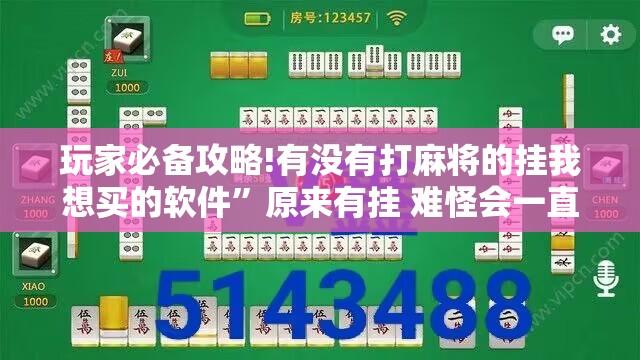 玩家必备攻略!有没有打麻将的挂我想买的软件	”原来有挂 难怪会一直输