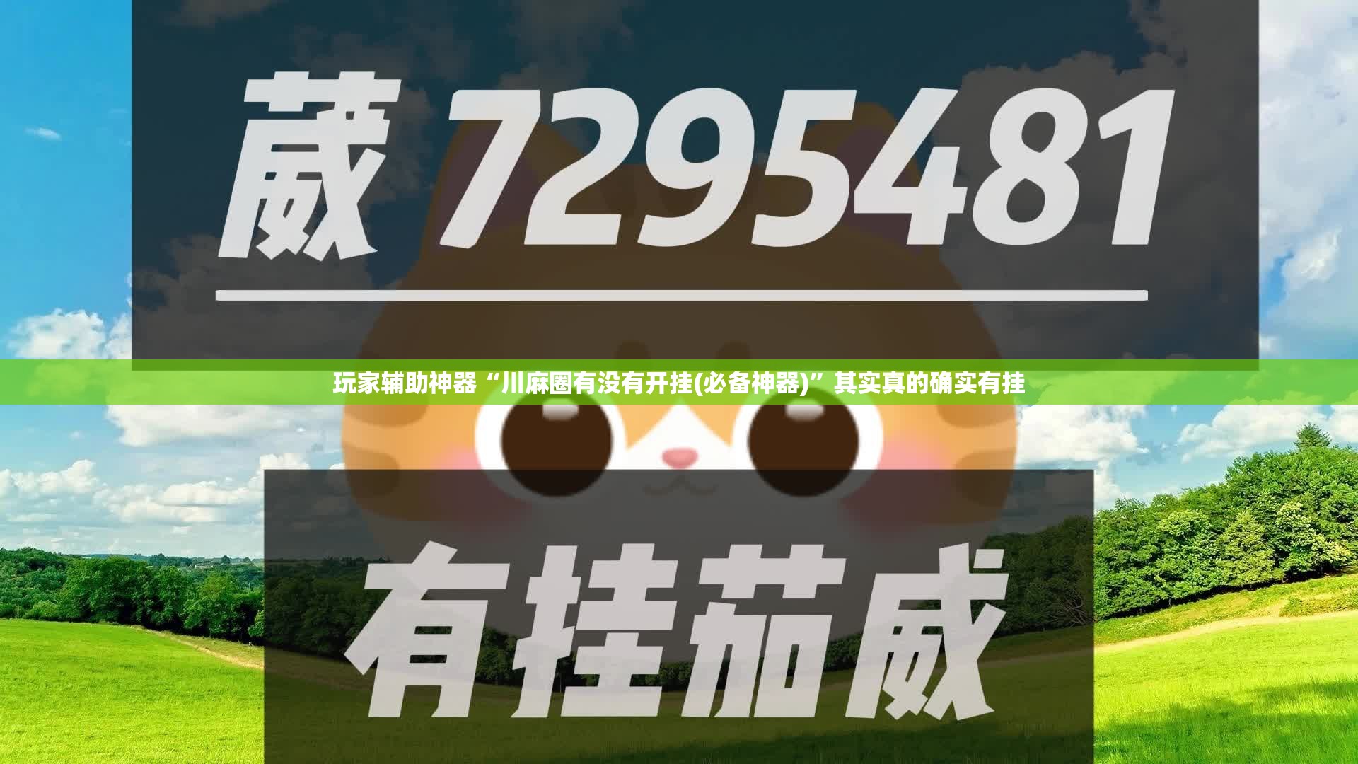 玩家辅助神器“川麻圈有没有开挂(必备神器)	”其实真的确实有挂