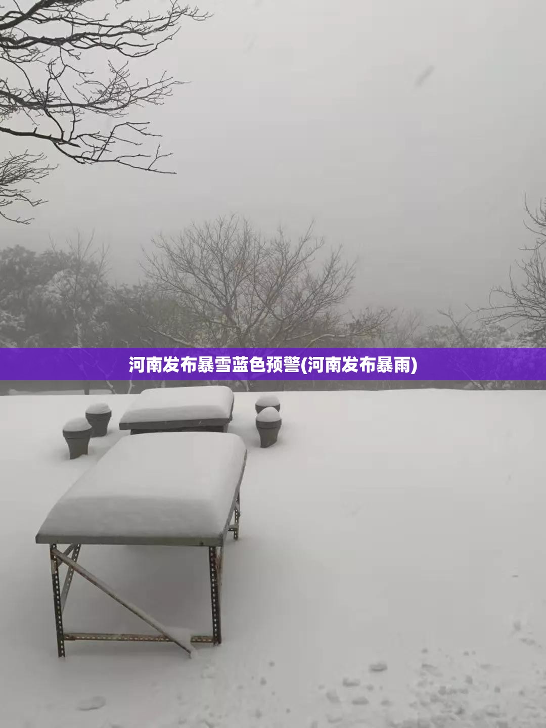 河南发布暴雪蓝色预警(河南发布暴雨)