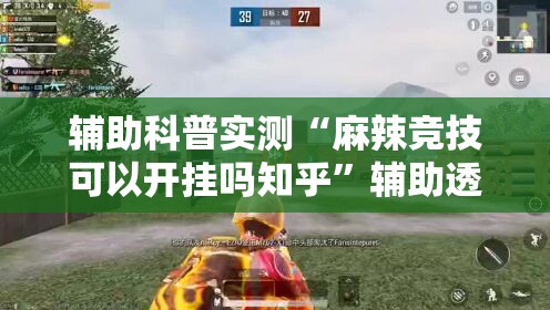 辅助科普实测“麻辣竞技可以开挂吗知乎”辅助透视教程
