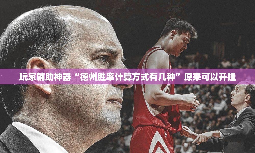玩家辅助神器“德州胜率计算方式有几种”原来可以开挂