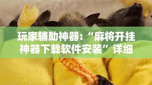 玩家辅助神器:“麻将开挂神器下载软件安装”详细辅助教程分享