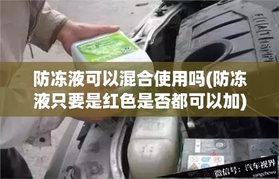 防冻液可以混合使用吗(防冻液只要是红色是否都可以加)