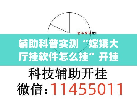 辅助科普实测“嫦娥大厅挂软件怎么挂	”开挂(透视)辅助教程