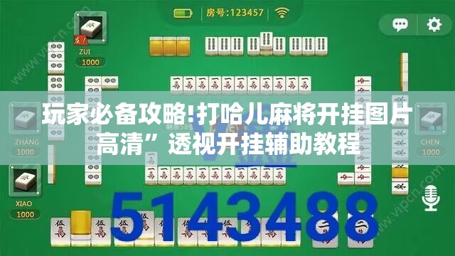 玩家必备攻略!打哈儿麻将开挂图片高清”透视开挂辅助教程